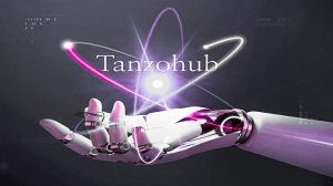 Tanzohub